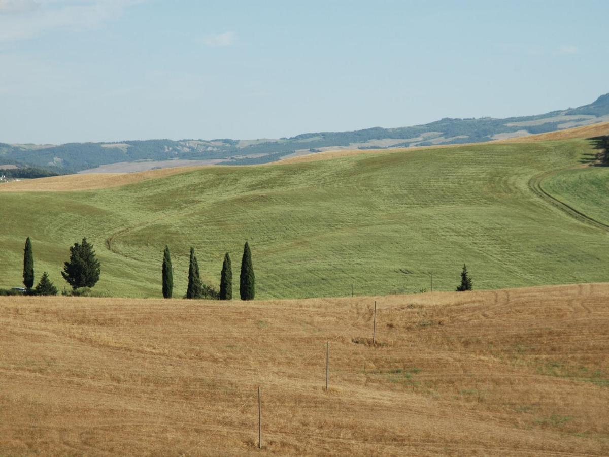 ContignanoSpacious Farmhouse In Pienza With Swimming Pool公寓 外观 照片